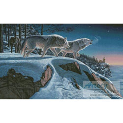 Moonlight Prowlers (Kim Norlien)