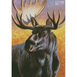 Moose Painting (Cynthie Fisher)