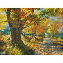 Morning Run (Abraham Hunter)