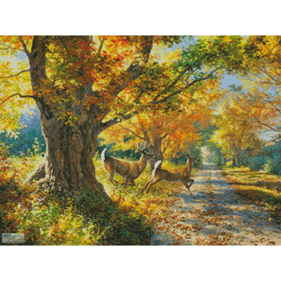 Morning Run (Abraham Hunter)