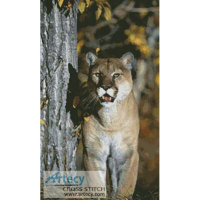 Mountain Lion (www.photostogo.com)