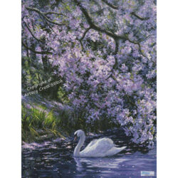 Mute Swan (Beth Hoselton)