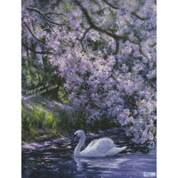 Mute Swan (Large) (Beth Hoselton)