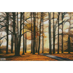 Mysterious Forest (Celebrate Life Gallery/ artlicensing)