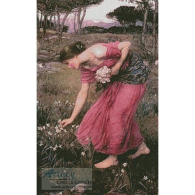 Narcissus (John William Waterhouse)