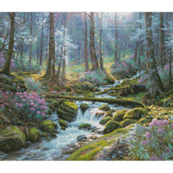 Natures Harmony (Mark Keathley)