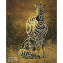 New Day (Lucie Bilodeau/ artlicensing)