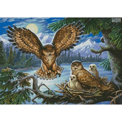 Night Owl Family (Artworld)