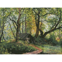 Old Lime (Ivan Shishkin)