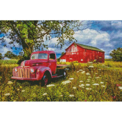 Old Red in the Wild Flowers (Celebrate Life Gallery/ artlicensing)