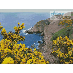 On the Coast, Jersey (http://www.publicdomainpictures.net/)