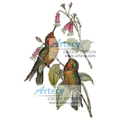 Orange throated sun angel Hummingbirds (Fine Rare Prints)