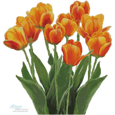 Orange Tulips (Claire Harkness)