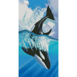 Orca 2 (Jerry Lofaro)