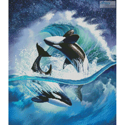 Orca Wave (Crop) (Jerry Lofaro)