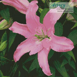 Oriental Lily (LadyofOz)