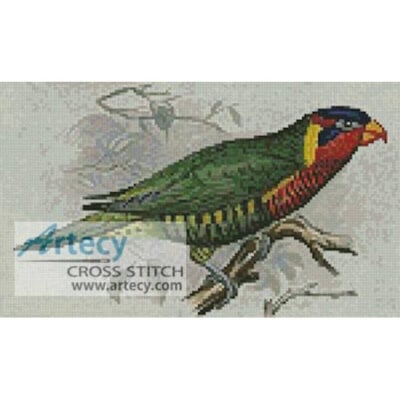 Ornate Lorikeet (Fine Rare Prints)