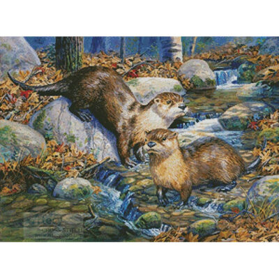 Otter Nonsense (Randy McGovern)