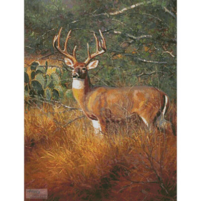 Out of Hiding (Mark Keathley)