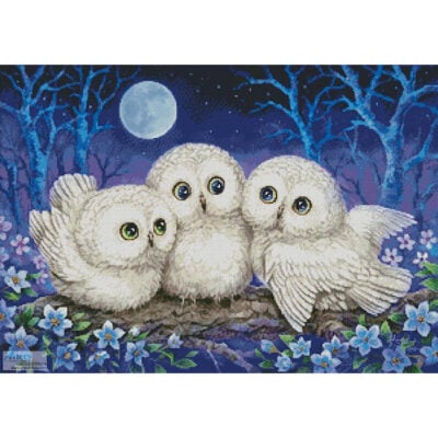 Owl Triplets (Kayomi Harai)