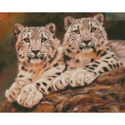 Pair of Young Snow Leopards (David Stribbling)