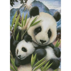 Panda and Cub (Howard Robinson)