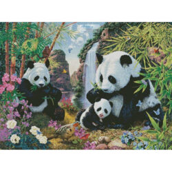 Panda Valley (Steve Read)