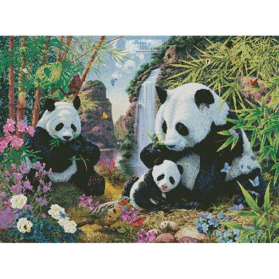 Panda Valley (Steve Read)