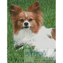 Papillon 2 (http://www.aledapapillons.com)