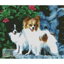 Papillons 1 (http://www.aledapapillons.com)