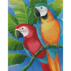 Parrots (Johnny Karwan)