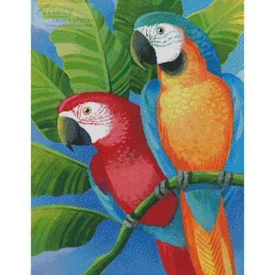 Parrots (Johnny Karwan)