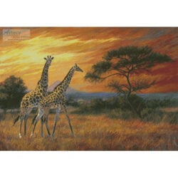 Passing Through (Lucie Bilodeau/ artlicensing)