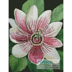 Passion Flower