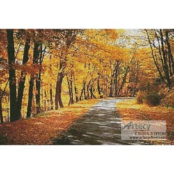 Path Through Autumn Trees (Scott Barrow - Corbis)