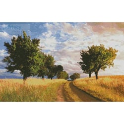 Path Through the Trees (Mirabbi - Morguefile)