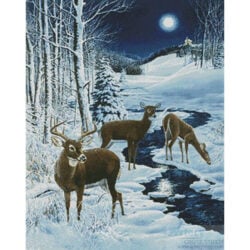 Peace on Earth (Randy McGovern)