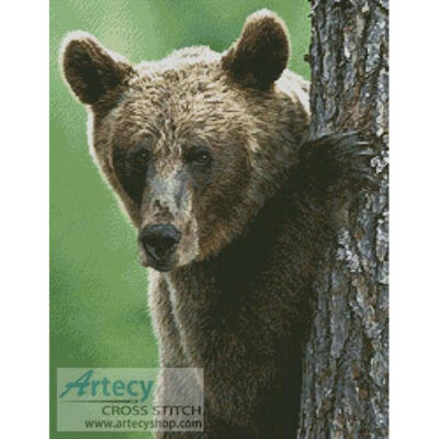 Peekaboo Bear (Nic Relton - Corbis)