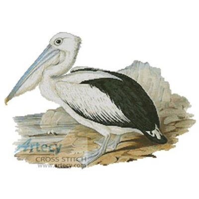 Pelican