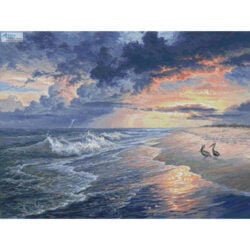 Pelican Beach (Image World)