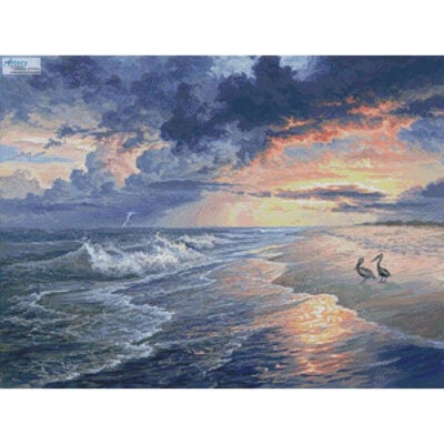 Pelican Beach (Image World)
