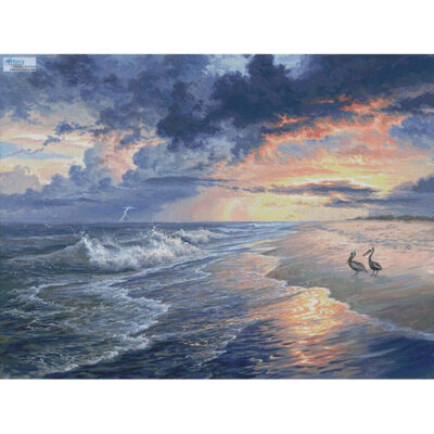 Pelican Beach (Large) (Image World)