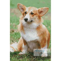 Pembroke Welsh Corgi (Malgorzata Milaszewska)