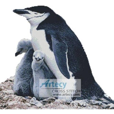Penguin Family (the US fish and Wildlife service)