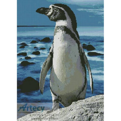 Penguin Photo (EnjoyLife25 - Image Vortex)
