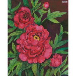 Peonies in Deep Red (Joanne Porter)