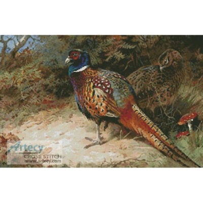 Pheasants (Archibald Thorburn)