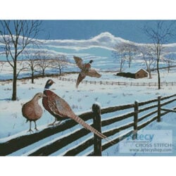 Pheasants in Winter (Mike Bennett)