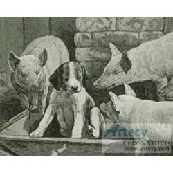 Pig Dog