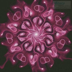 Pink Abstract Flower (Jennifer Olschefski)
